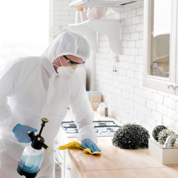 mold removal companies greenville