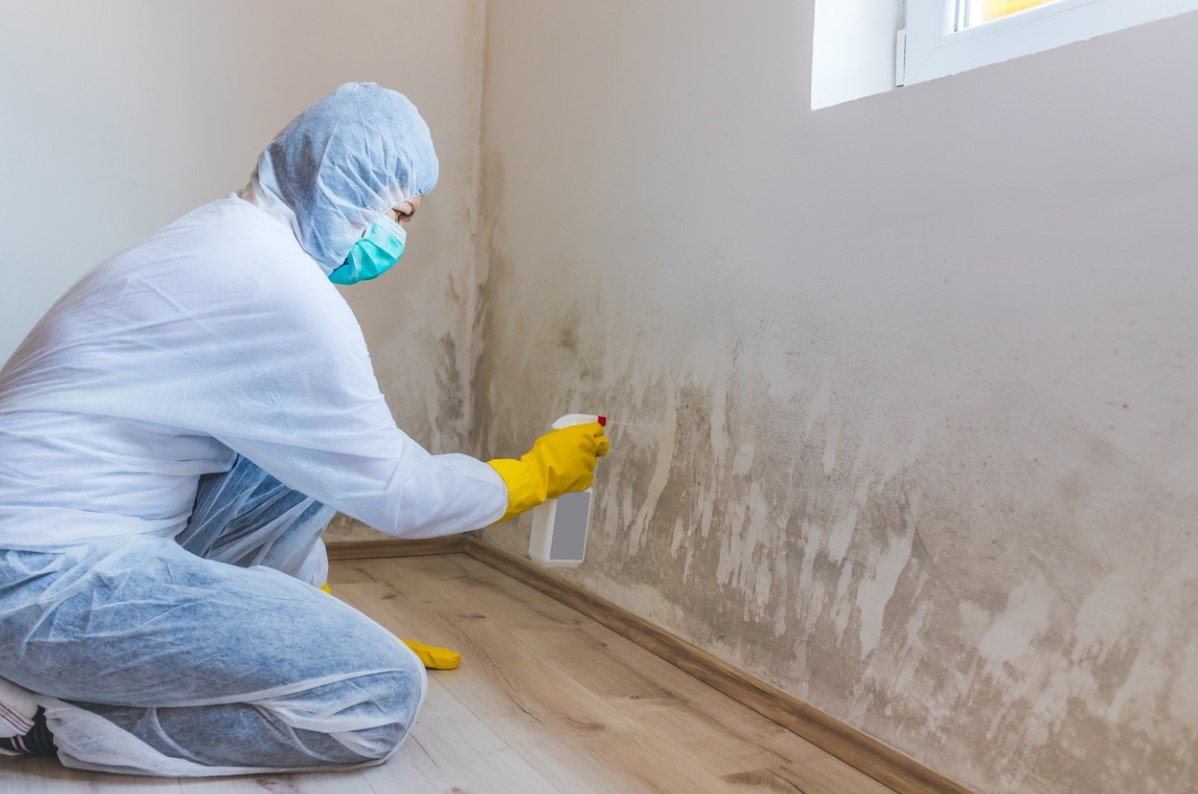 Mold removal
