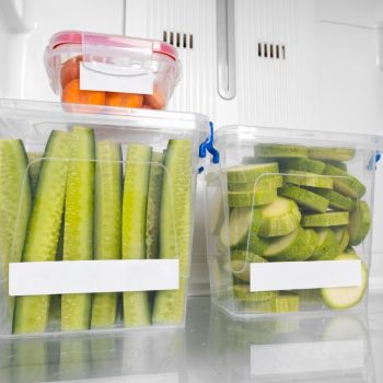 refrigerator freezing food