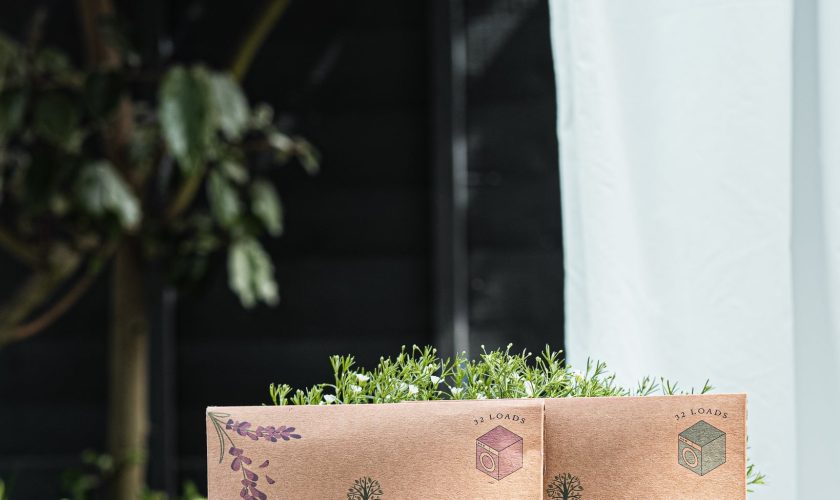 Eco-friendly laundry detergent