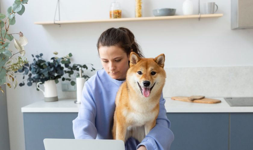 vet online chat free