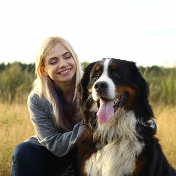 Puppy Training Classes Orange County California