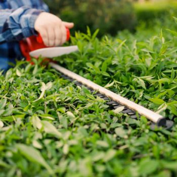 commercial lawn maintenance