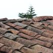 Roofing Insurance Claims: What You Need to Know to Maximize Your Coverage