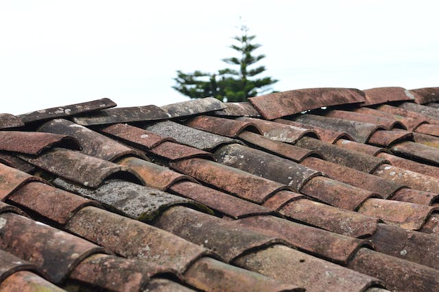 Roofing Insurance Claims: What You Need to Know to Maximize Your Coverage