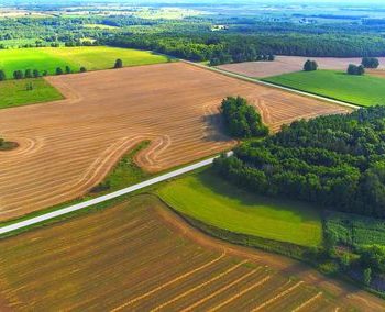 We Buy Land