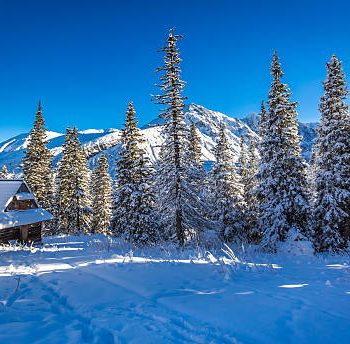 best alaska heli skiing