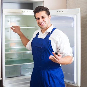 True fridge service