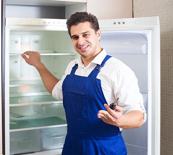 True fridge service