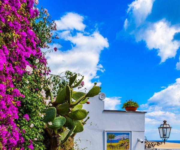 Magnolia patio contractor