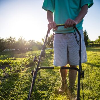 Lawn mowing Lakewood ranch