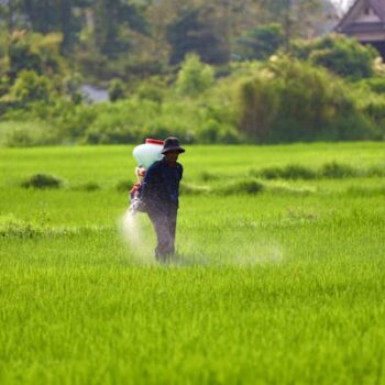 Grass fertilizer