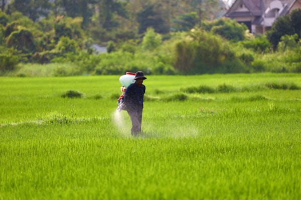 Grass fertilizer