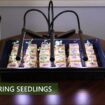 aeroponic tower gardens