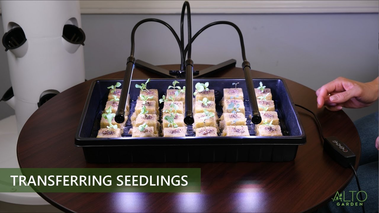 aeroponic tower gardens