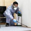 local pest control company