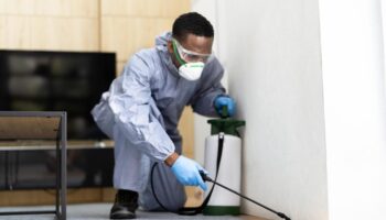 local pest control company